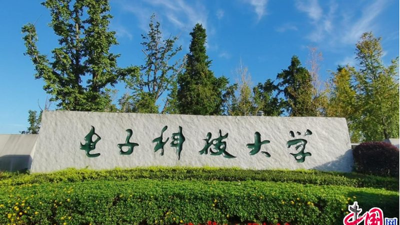 连接器批发价格背后的秘密：揭秘价格差异的根源